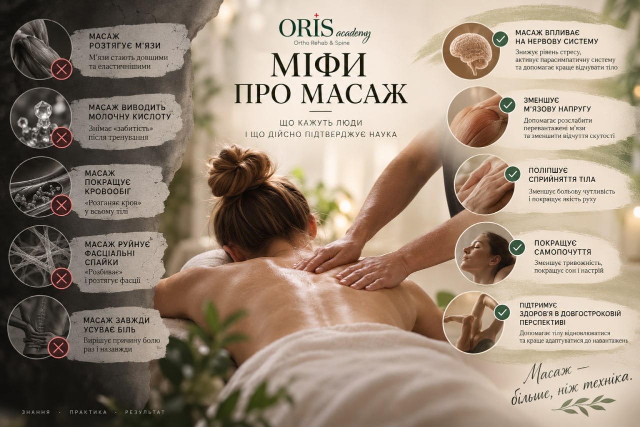 Инфографика ORIS academy: мифы о массаже и доказанные наукой эффекты
